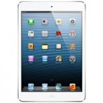 Apple iPad Mini For Rent